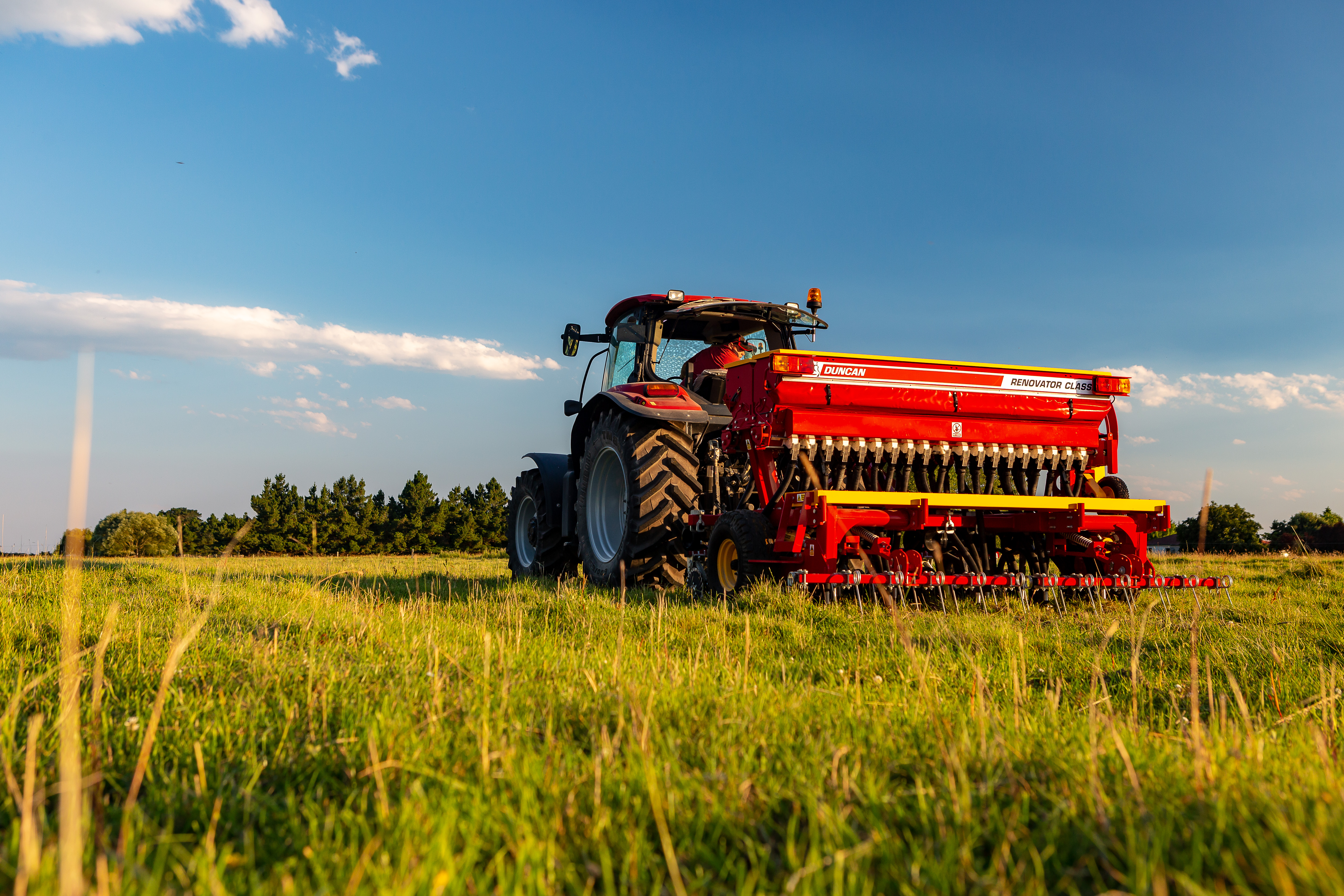 Renovator Classic Tine